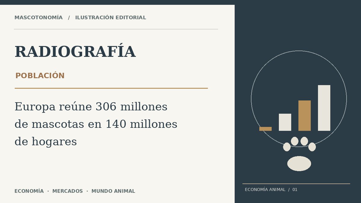 Ilustración editorial original de Radiografía