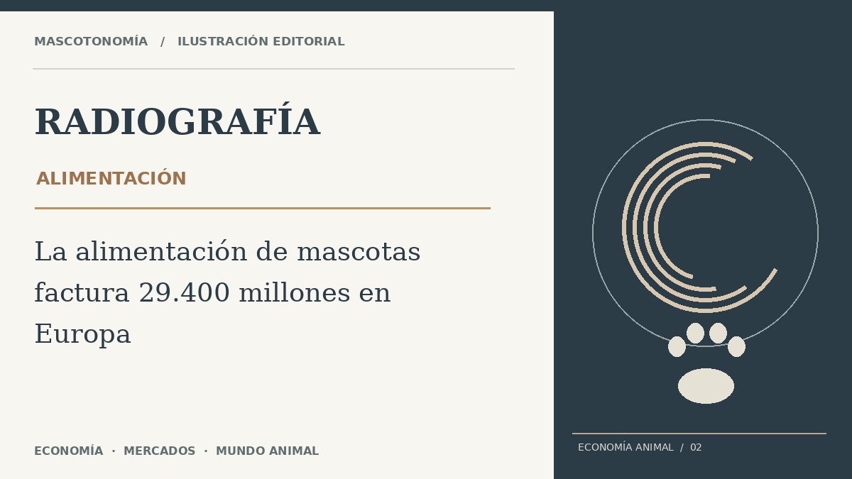 Ilustración editorial original de Radiografía