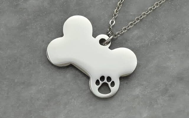Collar de perro